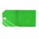 Green 120x60mm Strung Tag Pk1000
