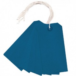 Blue 120x60mm Strung Tag Pk1000