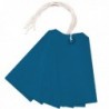 Blue 120x60mm Strung Tag Pk1000