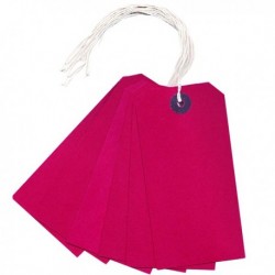 Red 120x60mm Strung Tag Pk1000
