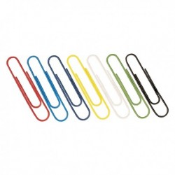 Assorted Large Plain Paperclips Pk100