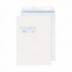 Evolve C4 Env Wndw Slf Seal White Pk250