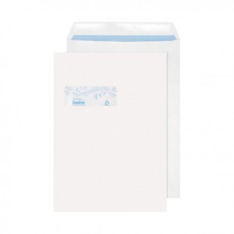 Evolve C4 Env Wndw Slf Seal White Pk250