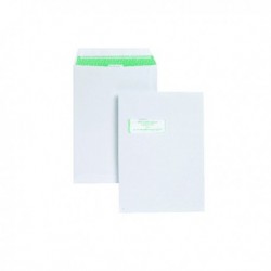 Basildon Bond C4 Env Wndw P Seal Pk250