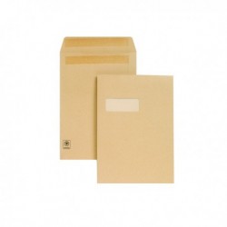 New Guardian C4 Wdw Sf Seal Env Man P250