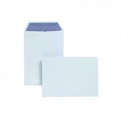 Plus Fabric C5 Env Self Seal Wht P250