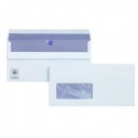 Plus Fabric DL Wdw Env Slf Seal Wht P250