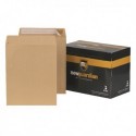 New Guardian Env 457x324 P Seal Man P125