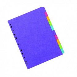 Concord 10-Pt Subj Divider Bright Asd A4