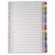 A4 Mylar Index 1-20 Multi-Colour