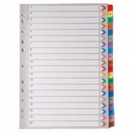 A4 Mylar Index 1-20 Multi-Colour