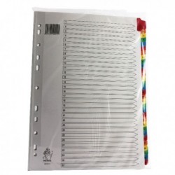 A4 Mylar 1-31 Multi-Colour Index