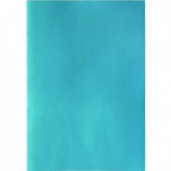 Cambridge Ruled Perf Notebook A4 Pk10