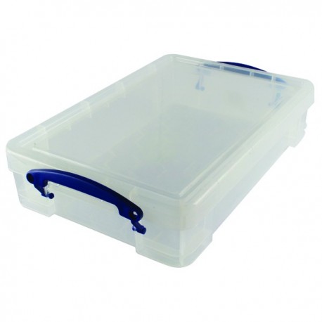 Really Useful Clear 4L Storage Box