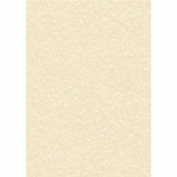 Decadry Parchment Champagne A4 L/heads