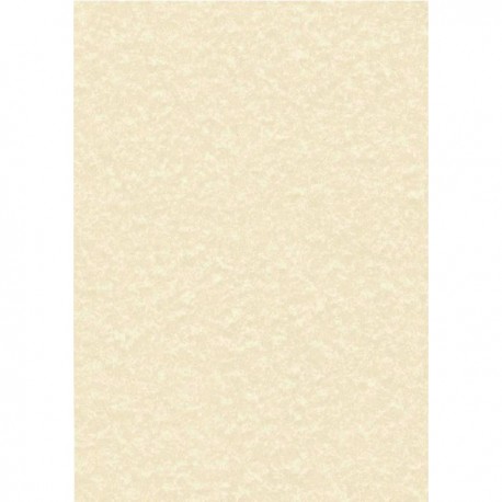 Decadry Parchment Champagne A4 L/heads