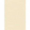 Decadry Parchment Champagne A4 L/heads