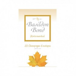 Basildon Bond Small Champagne Env Pk200