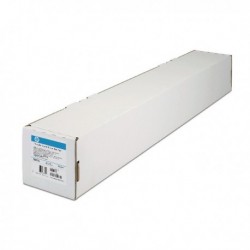 HP Hvyweight Coated Paper 1067mm C6569C