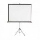 Nobo 99 Inch Tripod Projection Screen