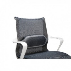 Fellowes I-Spire Grey Lumbar Cushion