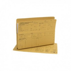 Guildhall Prntd HR File Yellow Pk50