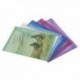 Rapesco ECO Popper Wallet A4Plus Asd Pk5