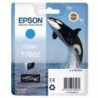 Epson T7602 Cyan Ink Cartridge