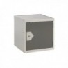 FF DD Cube Locker W300Xd300Xh300mm D Gry