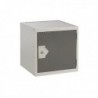 FF DD Cube Locker W450Xd450Xh450mm D Gry