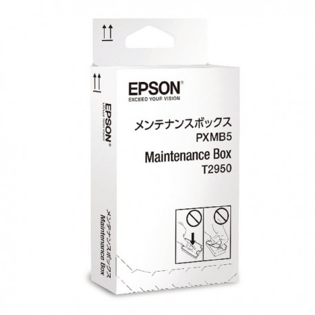 Epson WF-100W Maintenance Box C13T295000