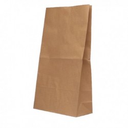 Paper Bag Brown W360xD260xH520 Pk125