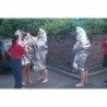 Wallace Cameron Emergcy Foil Blanket Pk6
