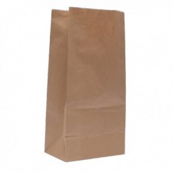 Paper Bag Brown W250xD150xH305mm Pk500