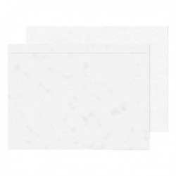 GoSecure Plain C5 Doc Encl Env Pk1000