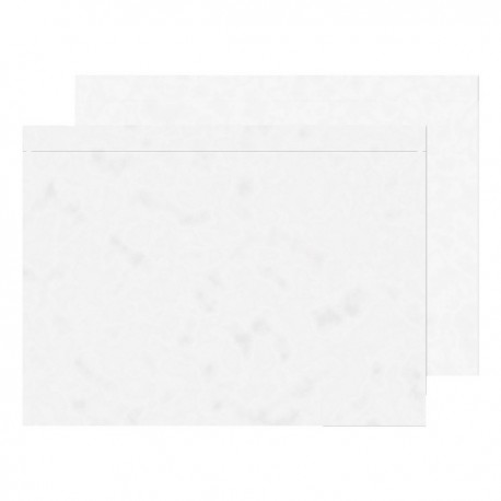 GoSecure Plain C5 Doc Encl Env Pk1000