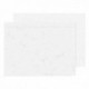 GoSecure C4 Plain Doc Encl Env Pk500