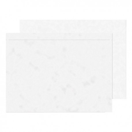 GoSecure C4 Plain Doc Encl Env Pk500