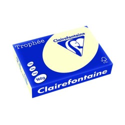Trophee Card A4 160gm Ivory (Pack of 250) 1101C