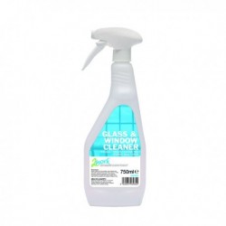 2Work Glass Cleaner Trigger Spray 750ml