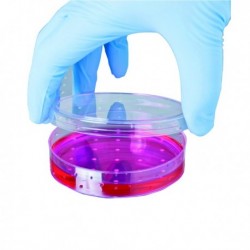 Shield PF Small Blue Nitrile Glove Pk100