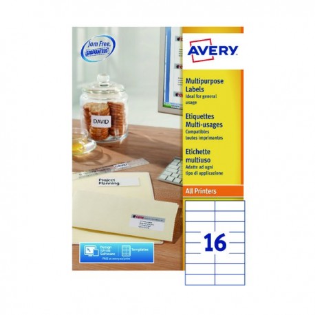 Avery DPS16-100 Multipurpose Label P1600