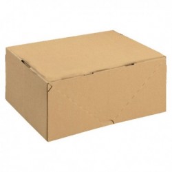 Brown Carton with Lid 305x215x150mm Pk10