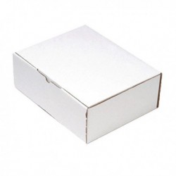 Flexocare Oyster 220x110mm Mail Box Pk25