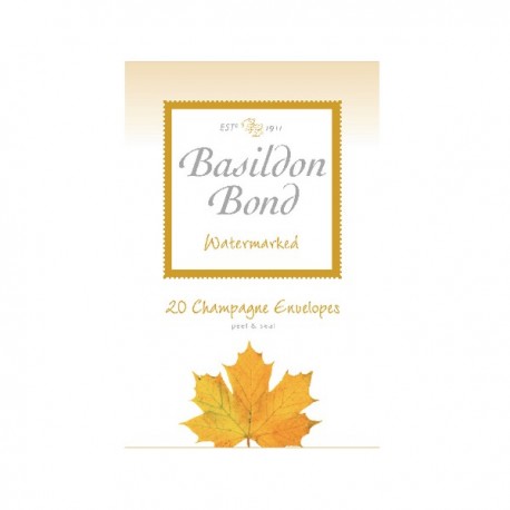 Basildon Bond Small Champagne Env Pk200