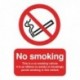 No Smoking Vehicle 100x75mm Slf-Adh Sign
