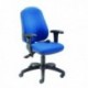 FF INTRO POSTURE CHAIR WITH ARMS BLUE