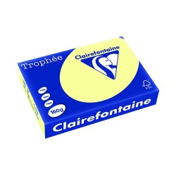 Trophee Card A4 160gm Canary (Pack of 250) 2636C